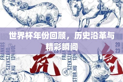 世界杯年份回顾，历史沿革与精彩瞬间