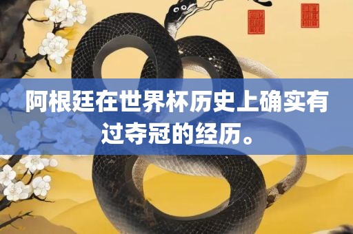 阿根廷在世界杯历史上确实有过夺冠的经历。