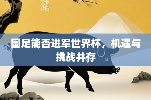 国足能否进军世界杯，机遇与挑战并存