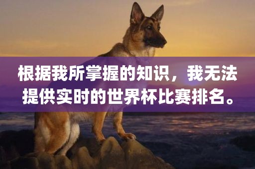 根据我所掌握的知识，我无法提供实时的世界杯比赛排名。