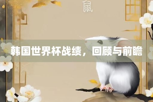 韩国世界杯战绩，回顾与前瞻