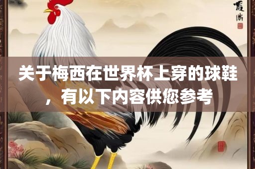 关于梅西在世界杯上穿的球鞋，有以下内容供您参考