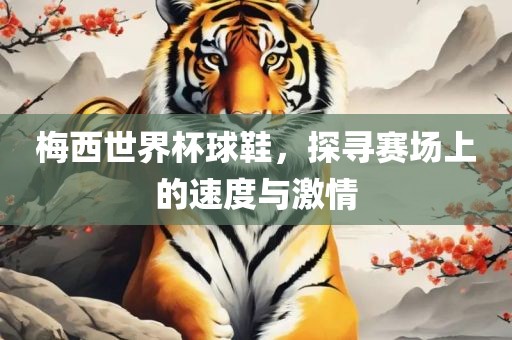 梅西世界杯球鞋，探寻赛场上的速度与激情