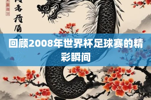 回顾2008年世界杯足球赛的精彩瞬间