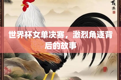 世界杯女单决赛，激烈角逐背后的故事