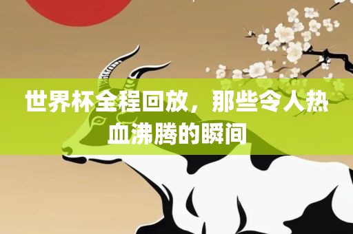 世界杯全程回放，那些令人热血沸腾的瞬间