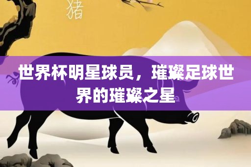 世界杯明星球员，璀璨足球世界的璀璨之星