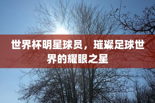 世界杯明星球员，璀璨足球世界的耀眼之星