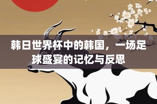 韩日世界杯中的韩国，一场足球盛宴的记忆与反思