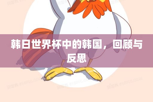 韩日世界杯中的韩国，回顾与反思