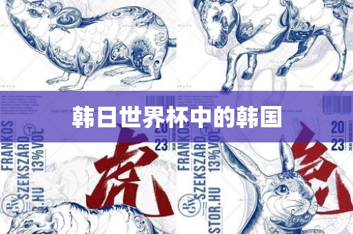 韩日世界杯中的韩国