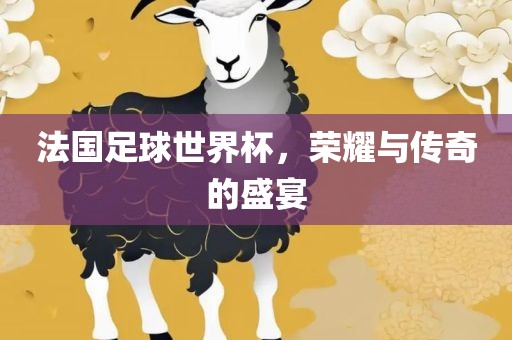 法国足球世界杯，荣耀与传奇的盛宴