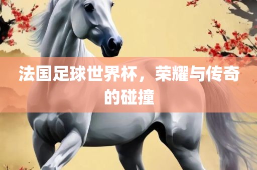 法国足球世界杯，荣耀与传奇的碰撞