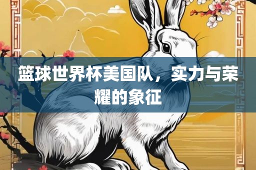 篮球世界杯美国队，实力与荣耀的象征