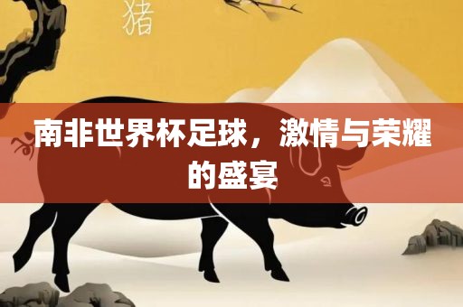 南非世界杯足球，激情与荣耀的盛宴