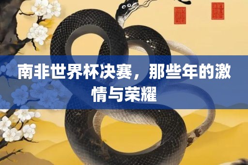 南非世界杯决赛，那些年的激情与荣耀