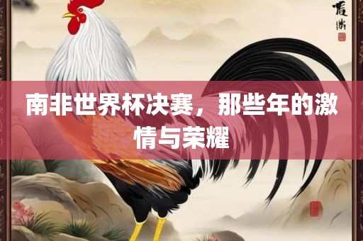 南非世界杯决赛，那些年的激情与荣耀