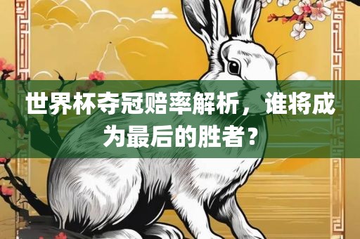 世界杯夺冠赔率解析，谁将成为最后的胜者？