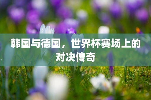 韩国与德国，世界杯赛场上的对决传奇