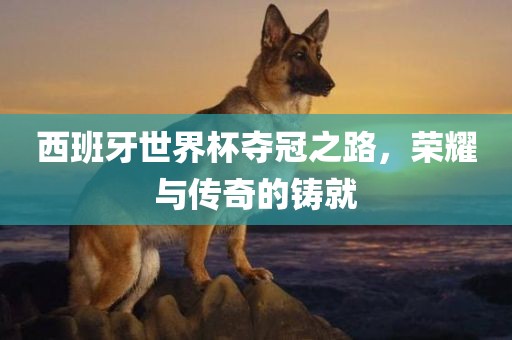 西班牙世界杯夺冠之路，荣耀与传奇的铸就