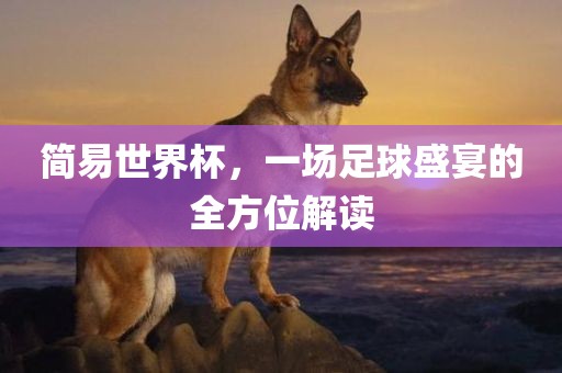 简易世界杯，一场足球盛宴的全方位解读