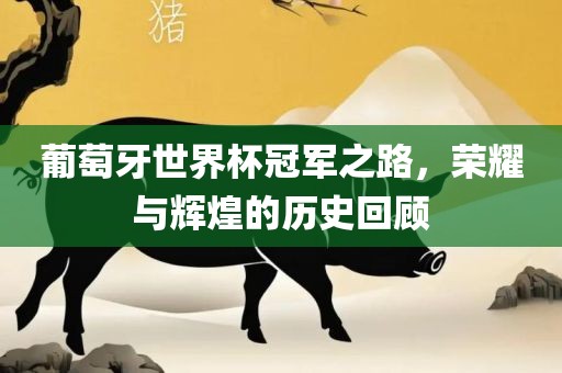 葡萄牙世界杯冠军之路，荣耀与辉煌的历史回顾