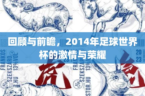 回顾与前瞻，2014年足球世界杯的激情与荣耀