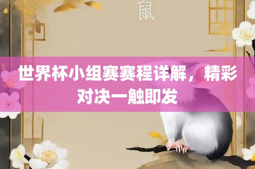 世界杯小组赛赛程详解，精彩对决一触即发