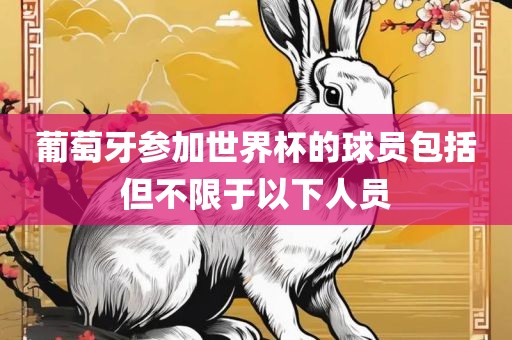 葡萄牙参加世界杯的球员包括但不限于以下人员