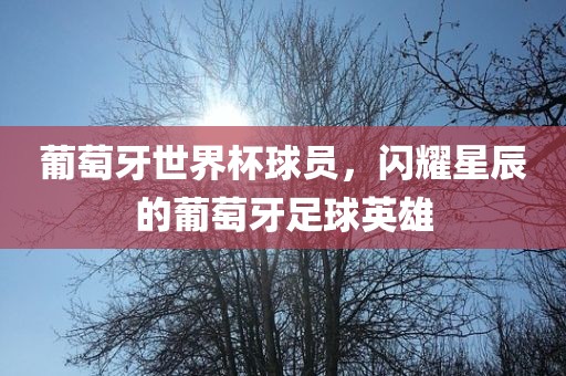 葡萄牙世界杯球员，闪耀星辰的葡萄牙足球英雄