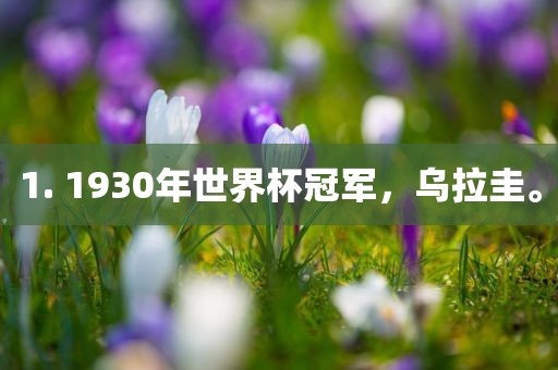 1. 1930年世界杯冠军，乌拉圭。