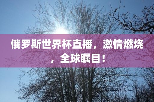 俄罗斯世界杯直播，激情燃烧，全球瞩目！