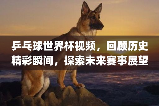 乒乓球世界杯视频，回顾历史精彩瞬间，探索未来赛事展望