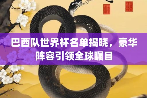 巴西队世界杯名单揭晓，豪华阵容引领全球瞩目
