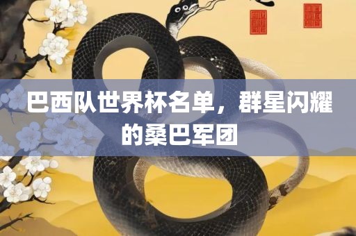 巴西队世界杯名单，群星闪耀的桑巴军团