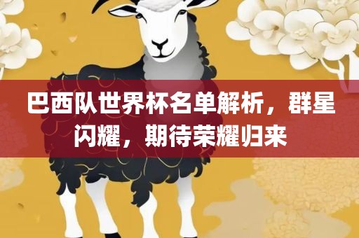 巴西队世界杯名单解析，群星闪耀，期待荣耀归来