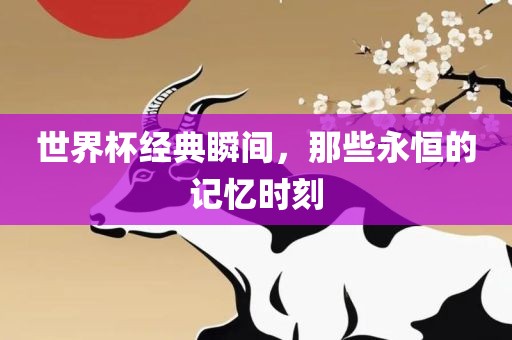 世界杯经典瞬间，那些永恒的记忆时刻