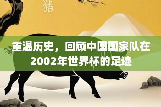 重温历史，回顾中国国家队在2002年世界杯的足迹