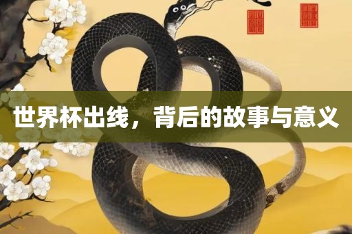 世界杯出线，背后的故事与意义