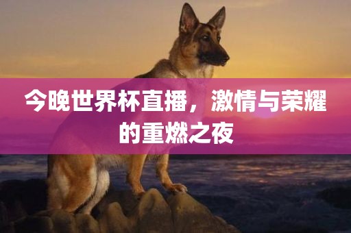 今晚世界杯直播，激情与荣耀的重燃之夜