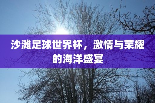 沙滩足球世界杯，激情与荣耀的海洋盛宴