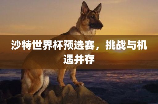 沙特世界杯预选赛，挑战与机遇并存