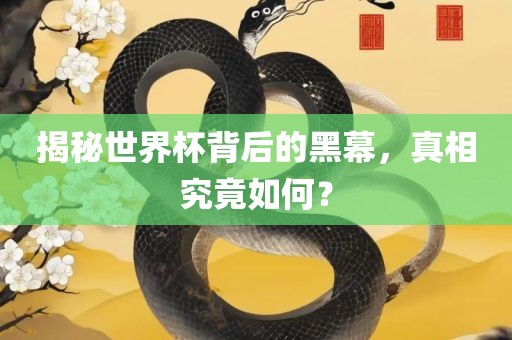 揭秘世界杯背后的黑幕，真相究竟如何？