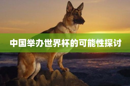 中国举办世界杯的可能性探讨
