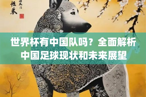 世界杯有中国队吗？全面解析中国足球现状和未来展望
