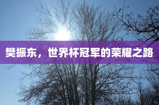 樊振东，世界杯冠军的荣耀之路