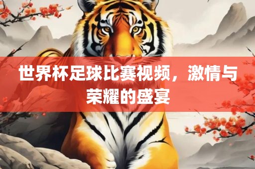 世界杯足球比赛视频，激情与荣耀的盛宴