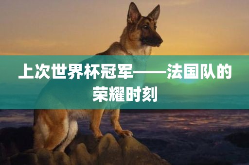 上次世界杯冠军——法国队的荣耀时刻