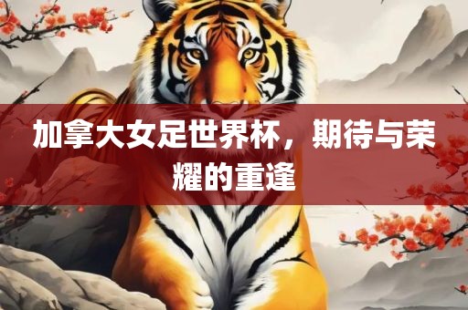 加拿大女足世界杯，期待与荣耀的重逢