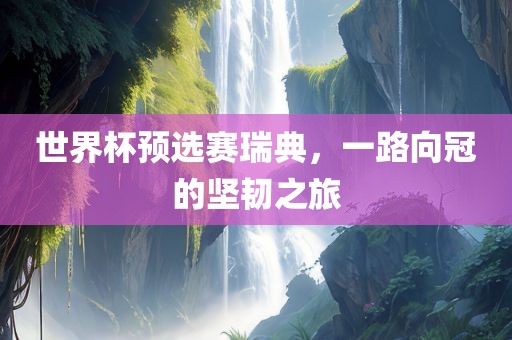 世界杯预选赛瑞典，一路向冠的坚韧之旅